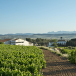 U MES U La Primavera del Cava 1