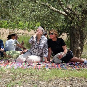 Sumarroca La Primavera del Cava