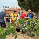 Canals i Munné La Primavera del Cava 1