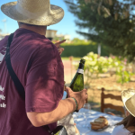 Canals i Munné La Primavera del Cava 5