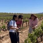 La Primavera del Cava Capita Vidal 002