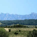 La Primavera del Cava Capita Vidal 003