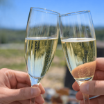 La Primavera del Cava Capita Vidal 333