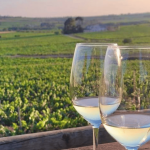 La Primavera del Cava Giro del Gorner 1