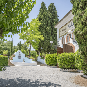La Primavera del Cava Enoturisme al Penedès Experiències i diversió