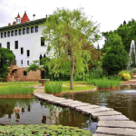 La Primavera del Cava Codorniu 1