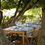 codorniu la primavera del cava